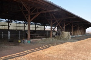 Stabulation 6 x 15 m
